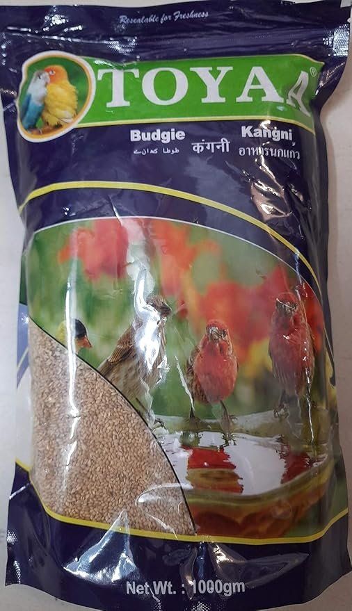 Toyaa Bird Food Seeds (Kangni) - 1000g
